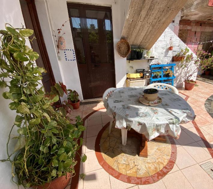 Shaka Guest House Giba Exterior foto